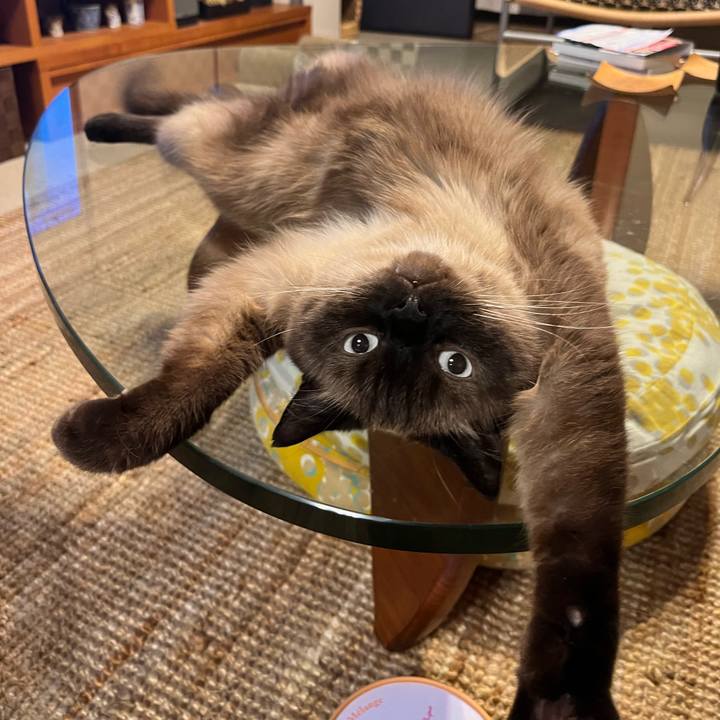 7cfd7fde cc6a 4afd 9eae d1a44b0be6b5 1724384289777