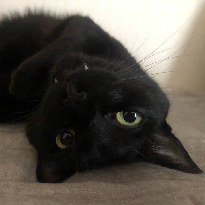 7cfdabdf cad3 4477 9ce4 ace63d787293 1659400227254