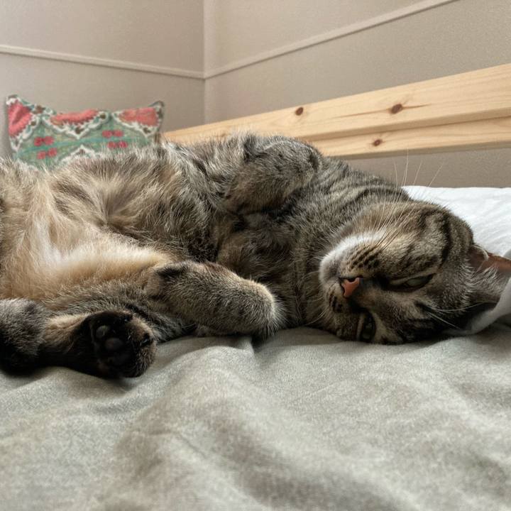 7cfdb61c b4fc 4fff 8d91 9e7d407ba2fa 1621249776492