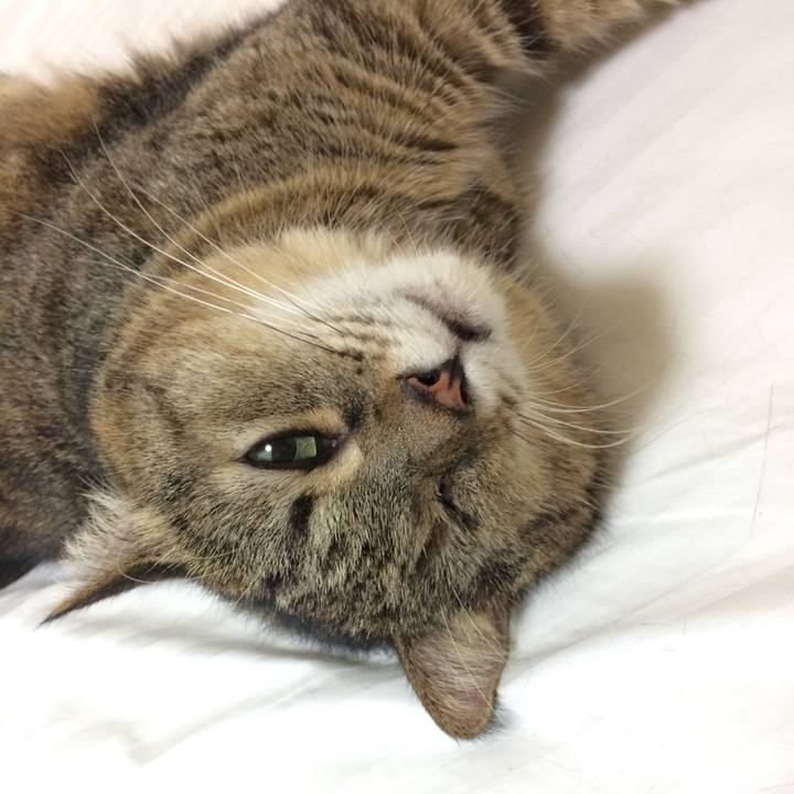 7cfde4d9 4c53 42df 9513 ce44f9cbbd3e 1597185669315