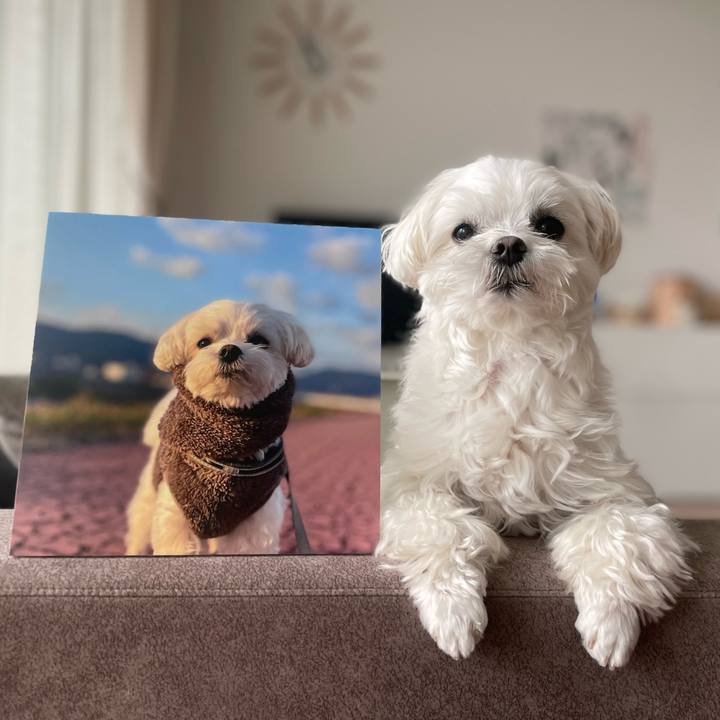 7cfe20cd 97d3 404b 9093 b3d255f4a541 1768182870356