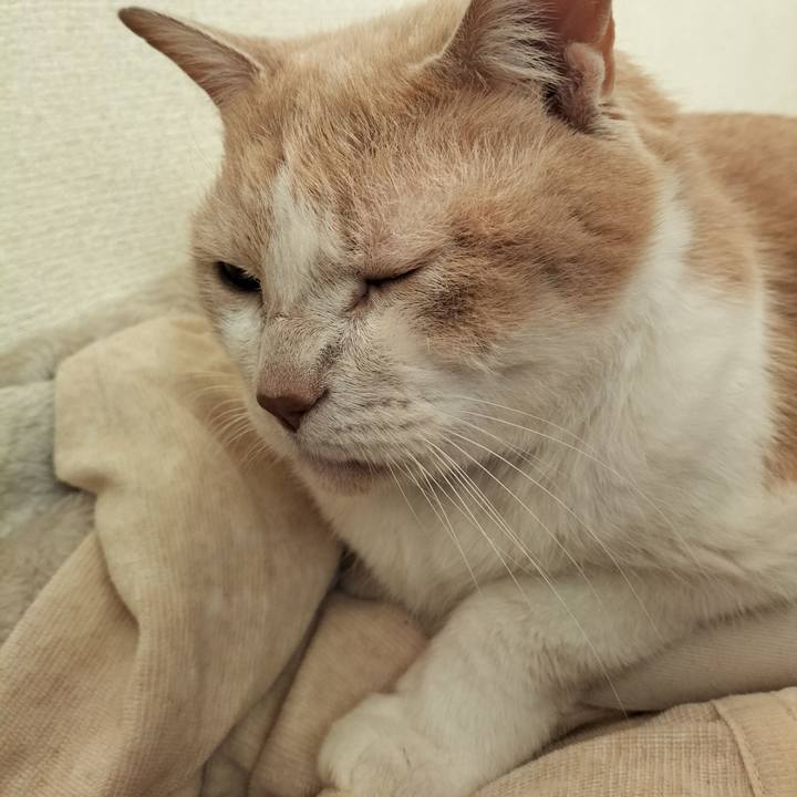 7cfe23a7 e02b 4412 b8df 360438fa7cff 1639177251573