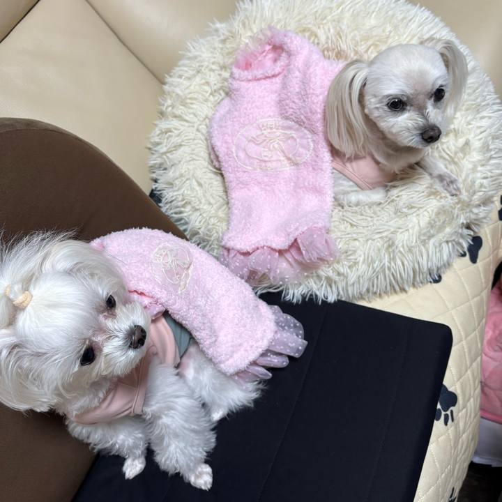 7cfe3356 72d0 4b4e bc78 3bf9ec8ad579 1766726712113