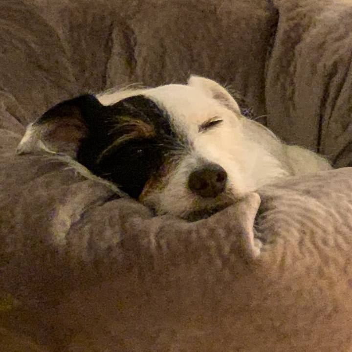 7cfeb99e ecb3 4a02 b8cf 1eda341eb846 1584703405479