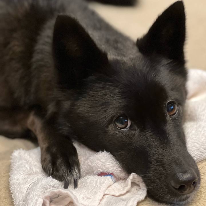 7cfec803 1c95 4db9 9726 7ec4aad536a7 1639757341363