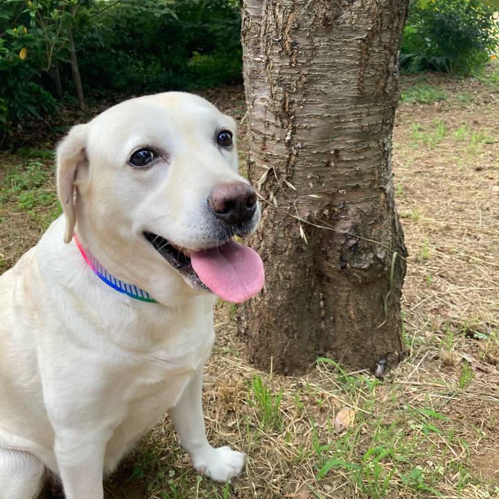 7cfed057 8bd7 4c42 bce6 3edbcd6399fe 1751946261285