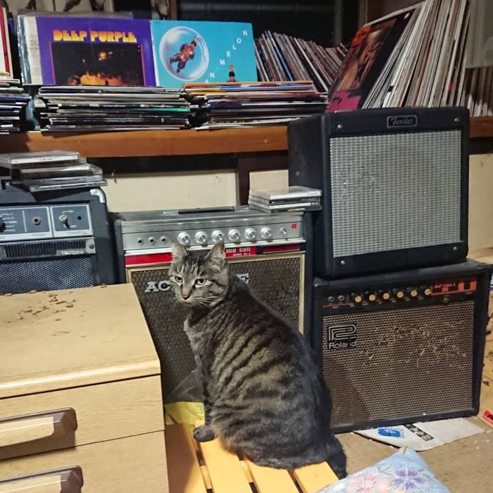 7cfef970 c8ac 44c8 b052 4d29dc848f3f 1653655939858