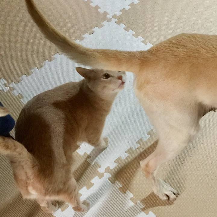 7cff0d8a fcac 4e0e 95df acb423dd6a07 1547731033230