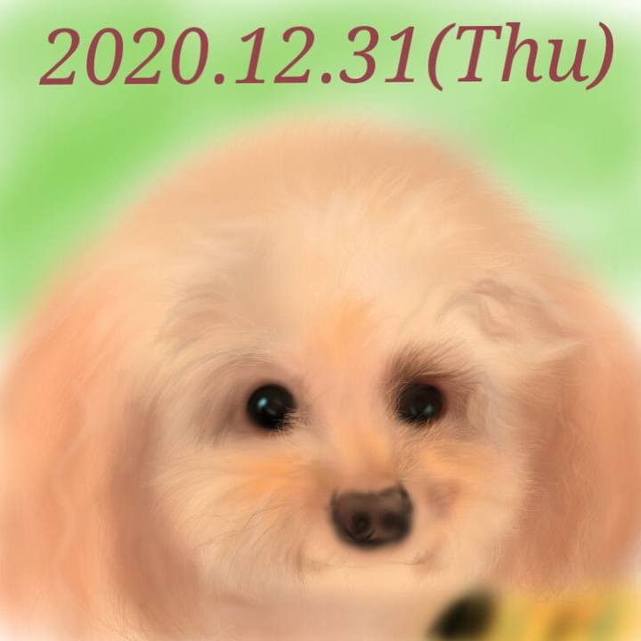 7cff1fc5 00dc 489d 9969 78f340c06a32 1609413335599