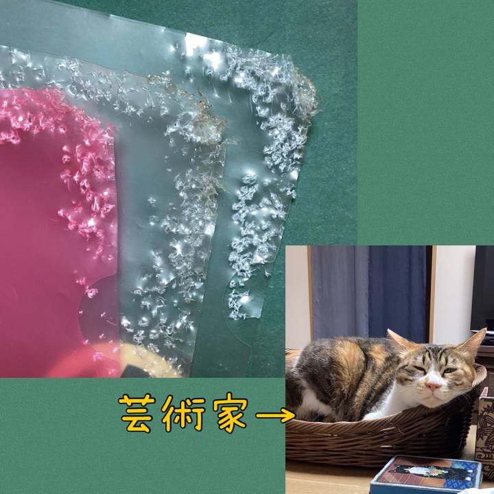 7cff3655 c4e1 44e5 81c8 2e0d6137335c 1717300246480