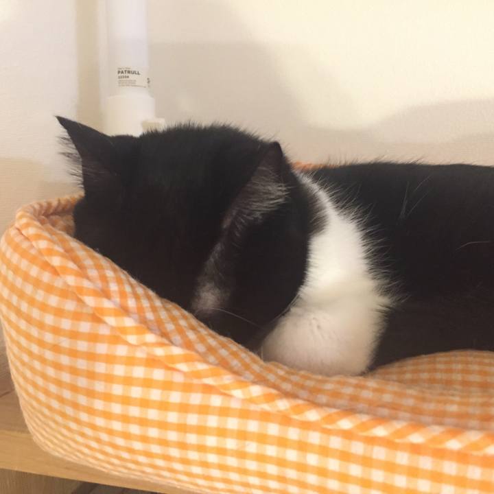 7cff3bc5 49b0 4e42 ab6a 8875ce165eb9 1544627231846