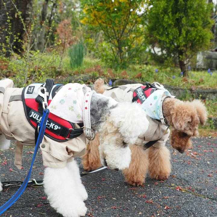 7cffa571 2b5c 44e6 bcad c9bb952e90e4 1523796303151