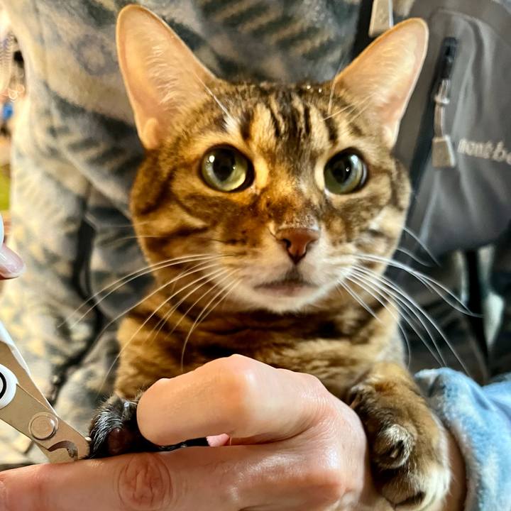 7cffad99 7374 44f5 82a1 c711c28f39af 1677297888342