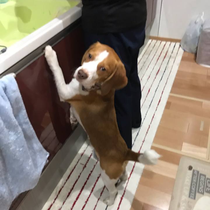 7cffceb5 aa4c 479e 8b8f feb17114c914 1541929056181