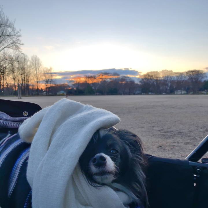 7cffd2a0 932d 4c37 875c ee8a19d425b5 1546297915852