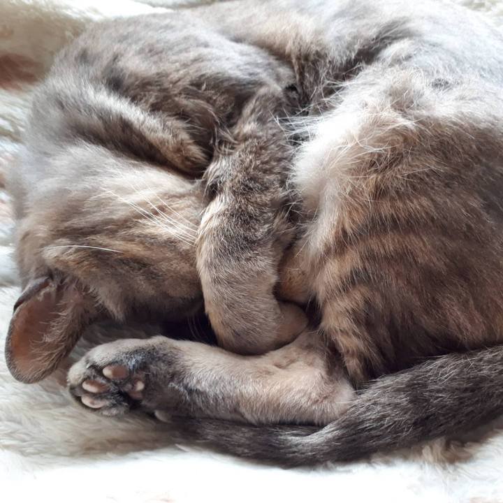 7cffe8e4 9ba9 421d b297 76feb38af7a8 1594196510807