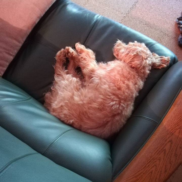 7d005924 5895 4874 822c 7469553d6235 1568068074490