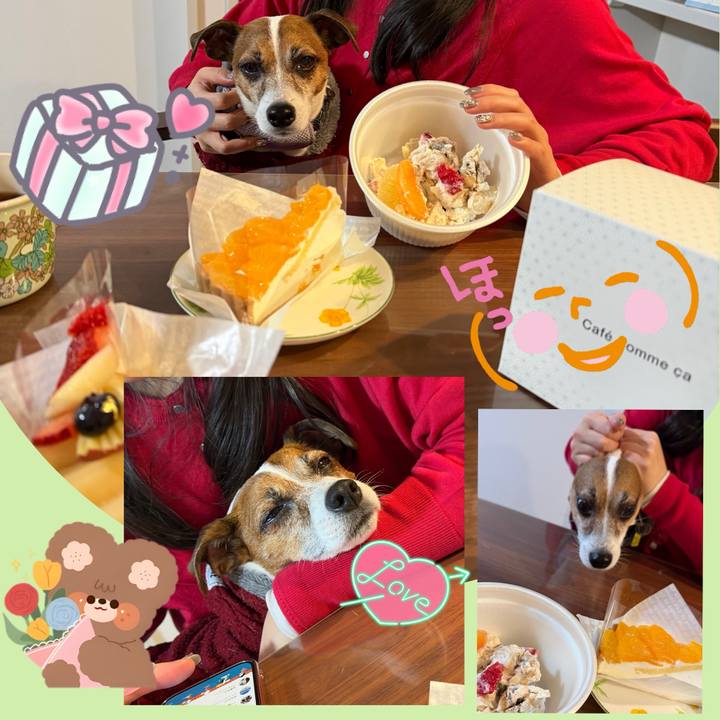 7d0079d3 b09a 46d4 8d51 165b36811d6a 1767413968993