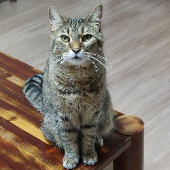 7d007af3 f38b 4127 937b 519f9205fccc 1741470930060