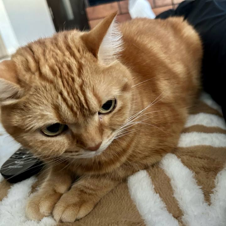 7d008035 ad33 4747 8aff d6d34a07d9d5 1697934987425