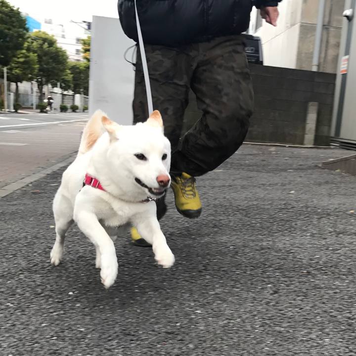 7d0085de 5e8b 40ae b513 28b7a2f8f7ff 1513298889898