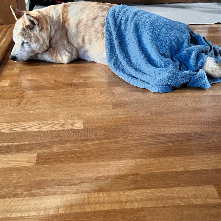 7d009874 64e5 4c4d a9c7 7c10b91fd839 1755597758159