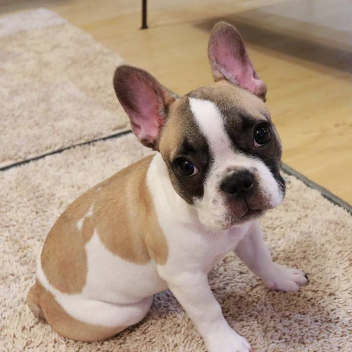 7d00cf41 529f 4fb8 ac8c 0fb0f1d9a667 1558145677007