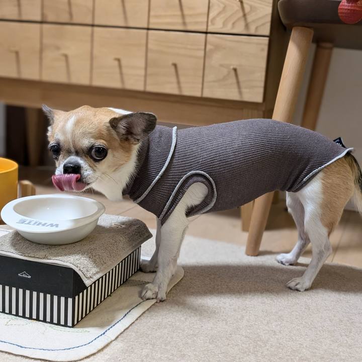 7d013c93 abc3 4b7a 8024 b0ae75dc4bcd 1730540726080