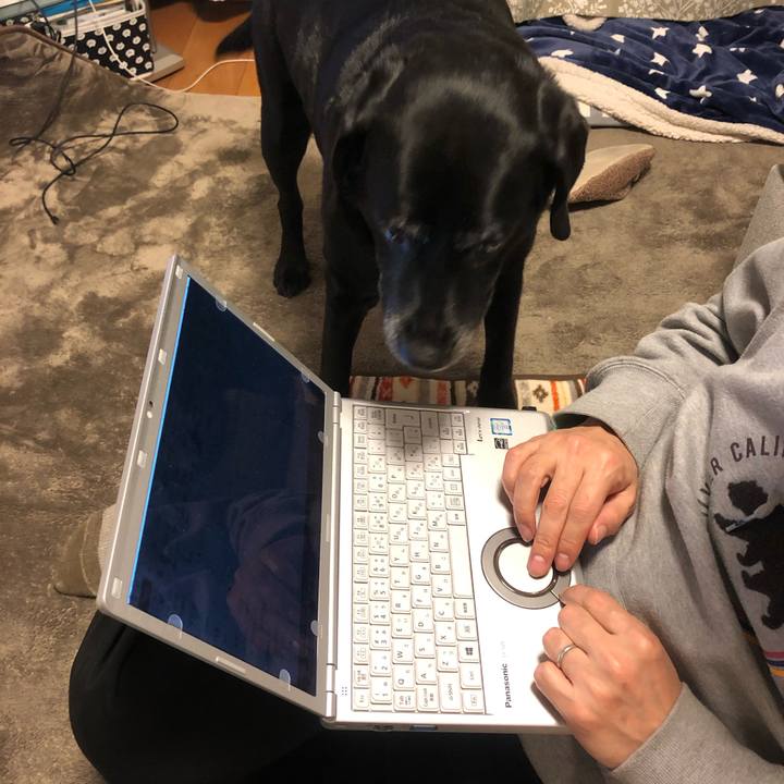 7d0166c4 1cb3 4351 a2fe aa9abad0e34d 1584357192105