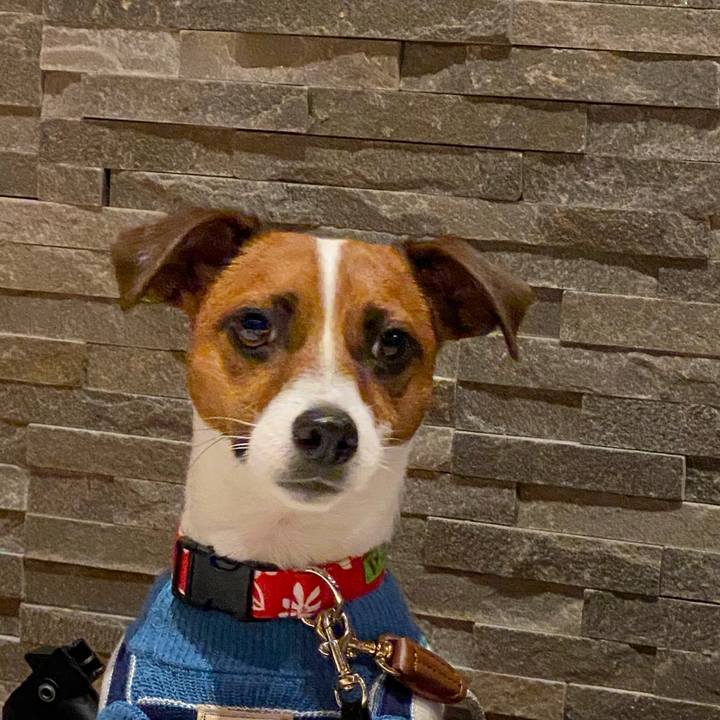 7d01a971 d354 4348 9462 65f1b03e49d1 1633700787522