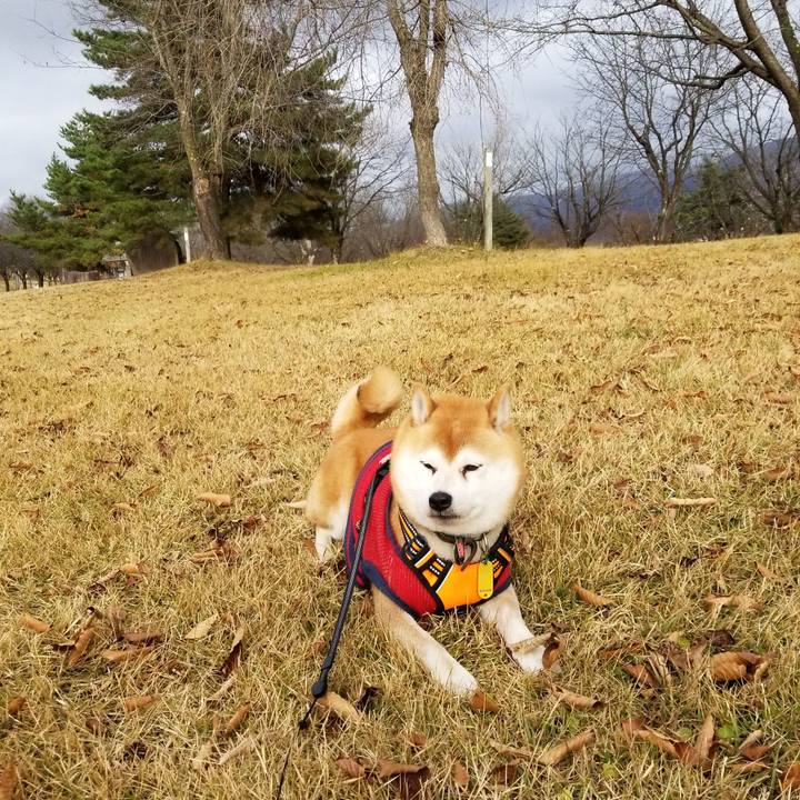 7d01c1f3 549c 4b2f bc1d cf8c7b11fac4 1606805270017