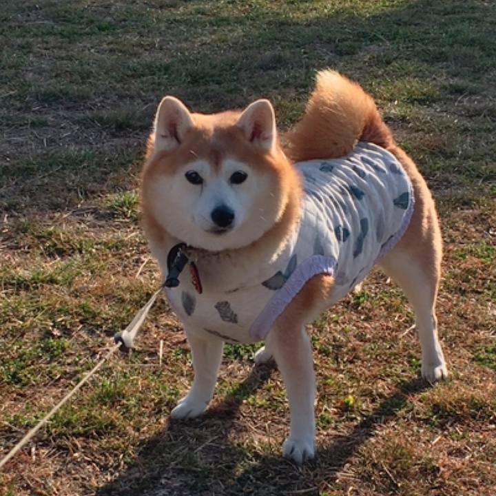 7d02383f 5912 40ec 9c19 a7749b83a528 1551454100551