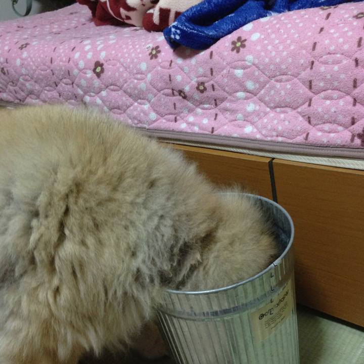 7d0258d8 a060 4943 92b2 44c9adbcbb7f 1591075880122