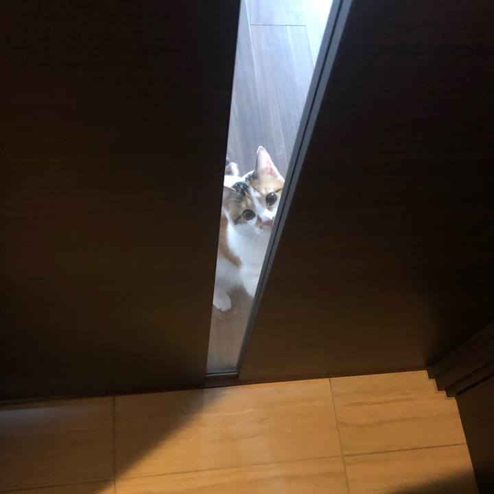 7d0264d8 5767 4a42 913f b295914c641f 1585885252187