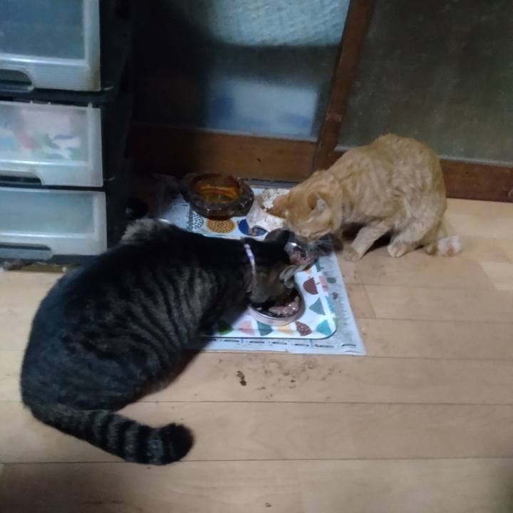 7d026a7d a817 4b81 95a5 fb17fed1a42d 1669290240612