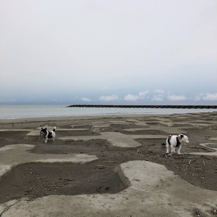 7d028701 1bde 4c35 a68f a5a01066df85 1523160530663