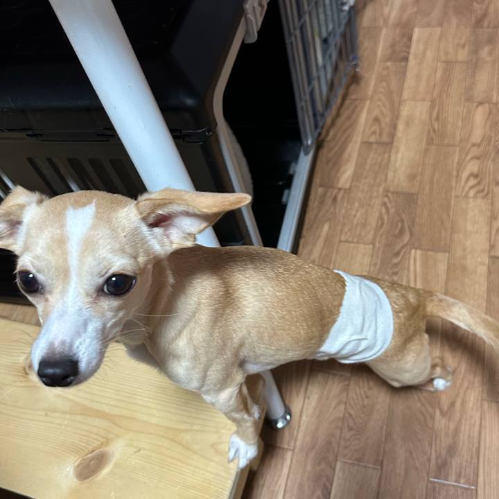 7d02b0b1 0b4e 4cd1 aa97 7aa70aa01d41 1680843052965