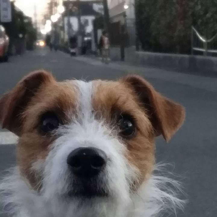 7d02c7e1 f161 4f25 9a82 bd709db5df98 1515575567732