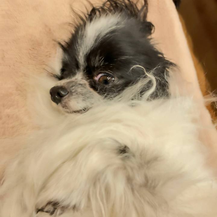 7d02f05d 1df8 415d ae28 b51c2c5972d8 1574680246028