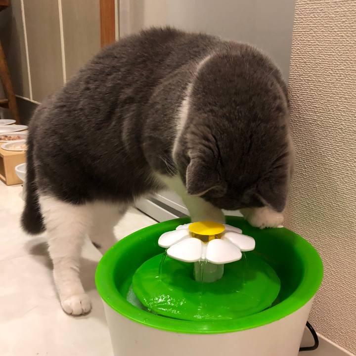 7d02f1d3 31ec 46cd a197 cf08571e724e 1526563485703