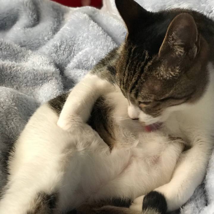 7d0300cc 8e0e 4116 9383 8ced2ae079c8 1512090504590