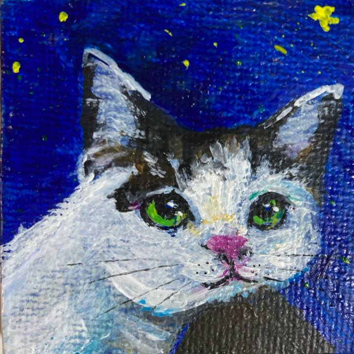 7d034fc8 b703 4fce 8f29 74838279f708 1734654970295