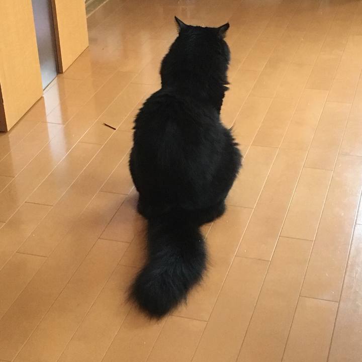 7d036041 a109 46b4 a963 e1bd9c959b8a 1532160731460