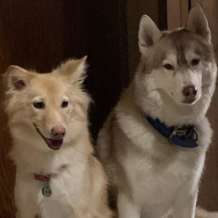 7d0367bf d2f0 44d4 a902 444d619a18e3 1630714380001