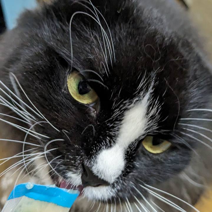 7d036e3c 578b 4c87 a19e 976eacacde2a 1694950065498