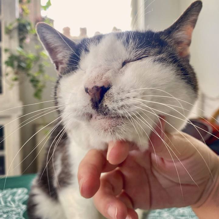 7d036edd 239a 4e76 a5a0 1094a4137dd4 1620278810466