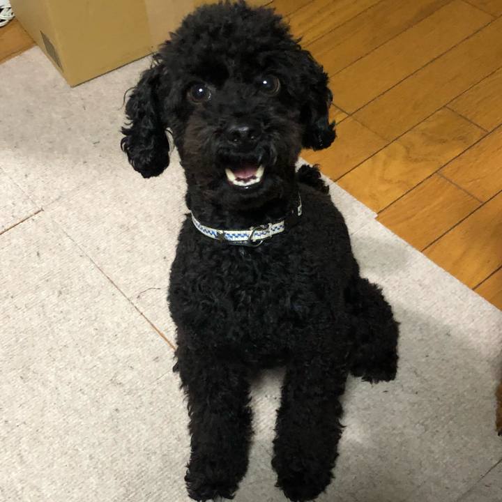 7d03734a 3cdb 493f bffc b0d7c4bda367 1544014415971