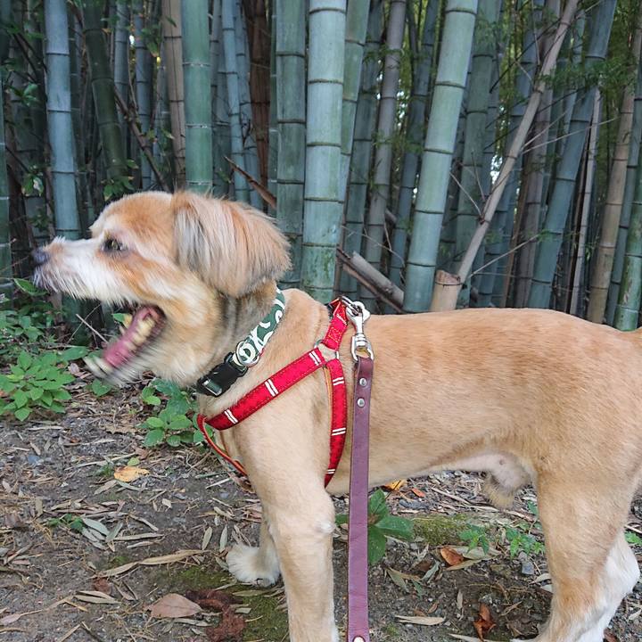 7d039a9b defa 4fe9 808e 1e3f00ed24a6 1600765253843