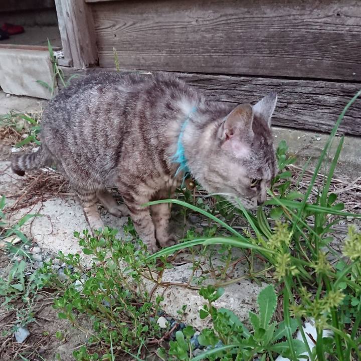 7d03d159 b25b 4ec0 93eb 7f6adc1d15f4 1566159536387