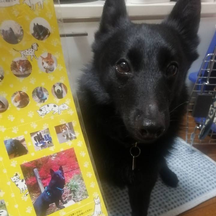 7d041ce3 7025 46ea af62 13ee5b52a558 1653050251921